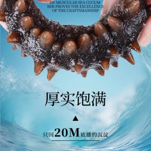 即食海参（发好）