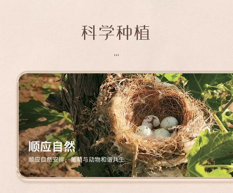 美贺通用图片6