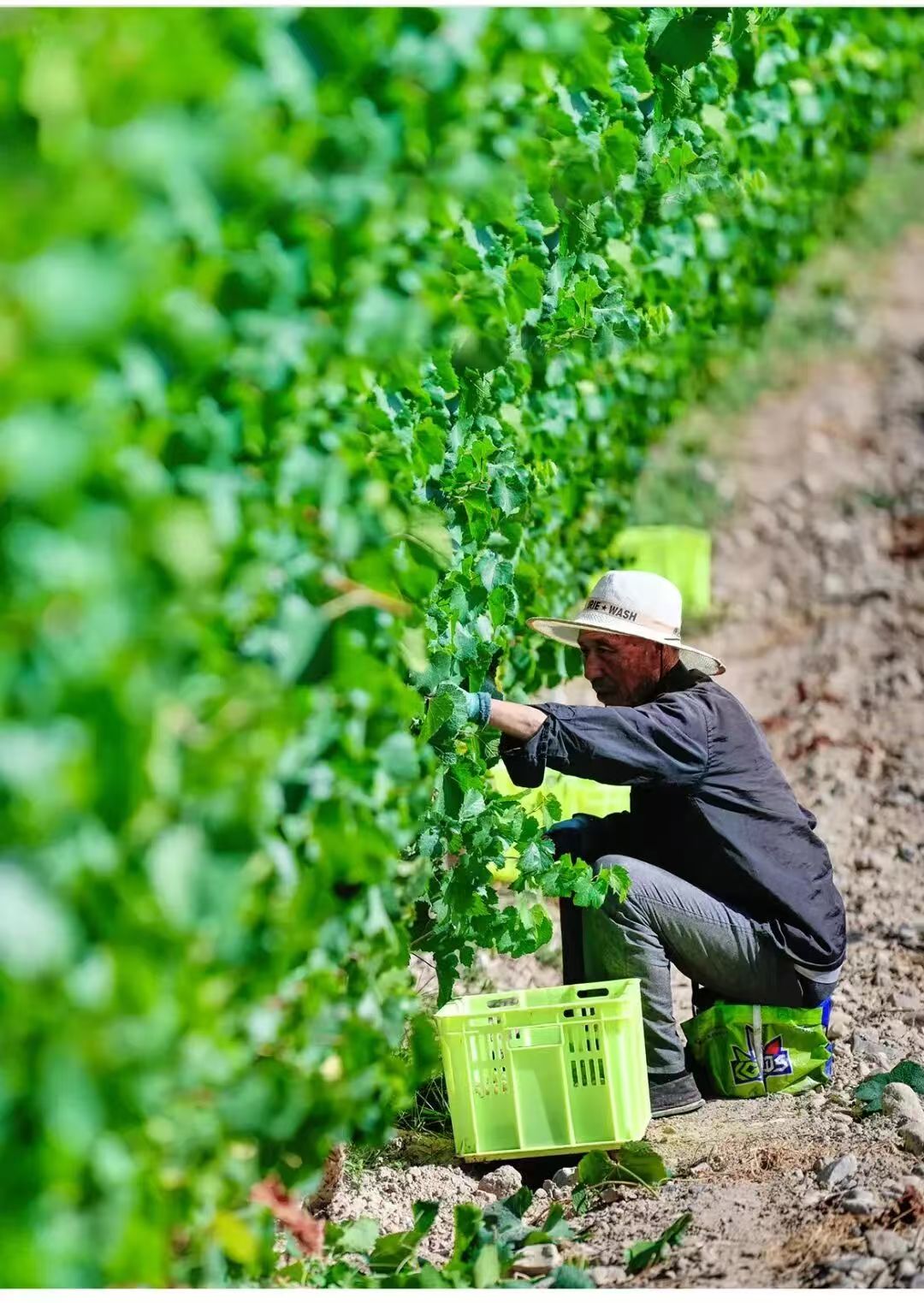 微信图片_20250917075955_59_13