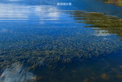 酒店、民宿临时毁约涨价，怎么管？