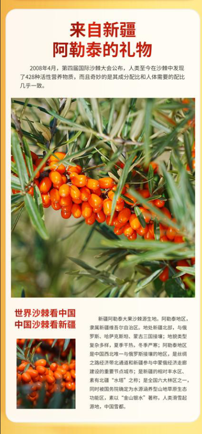 棘语30ml沙棘原浆详情图4